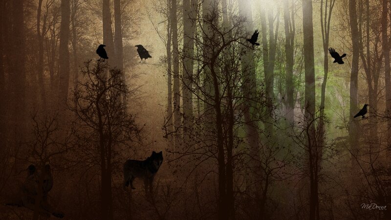 Wolves and Crows in Forest