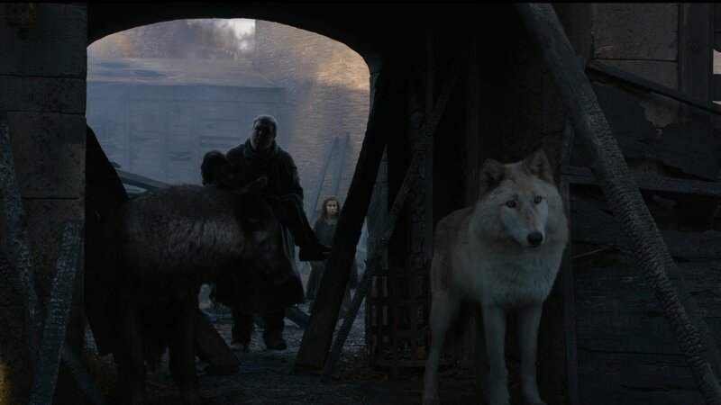 wolves and people in a dark alley
