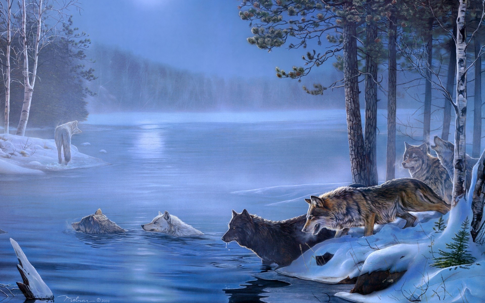 Wolves by a frozen lake