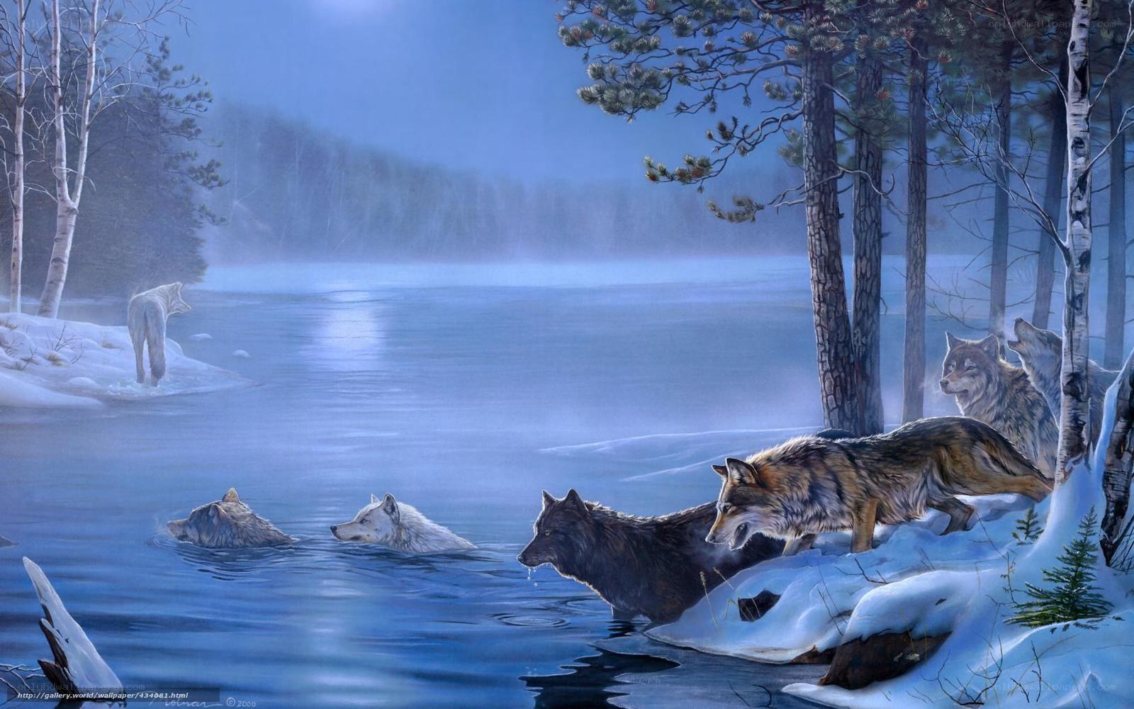 Wolves by a frozen lake