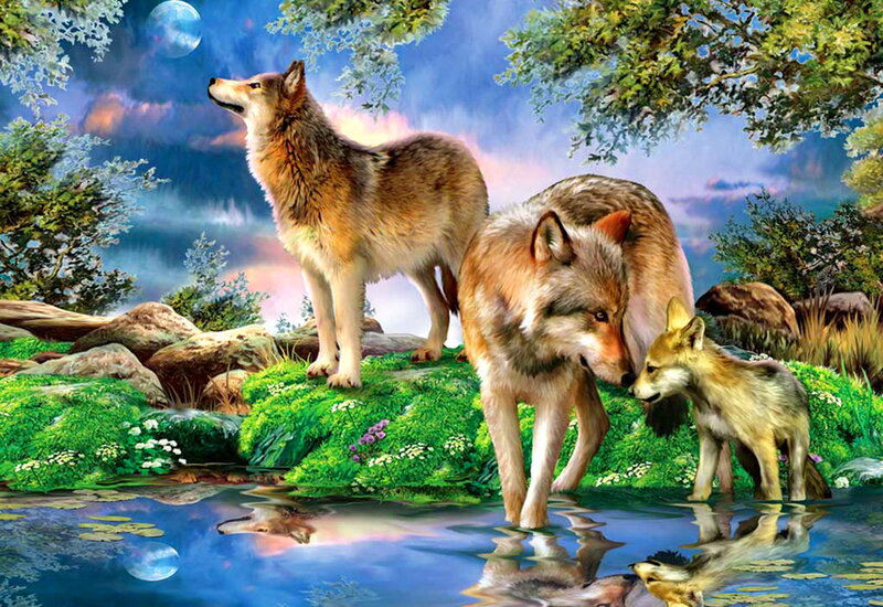 Wolves by a Pond