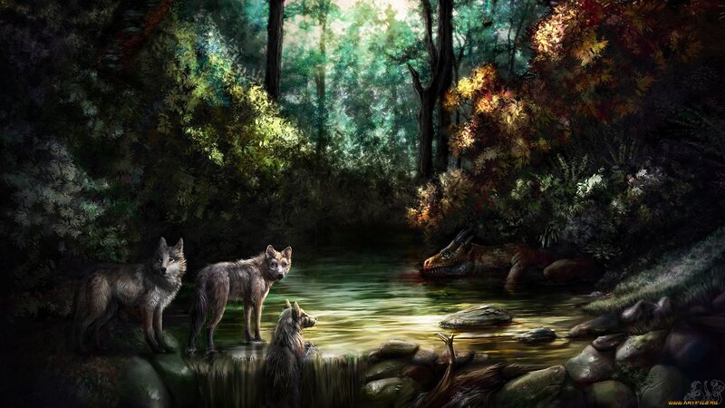 Wolves by a Stream