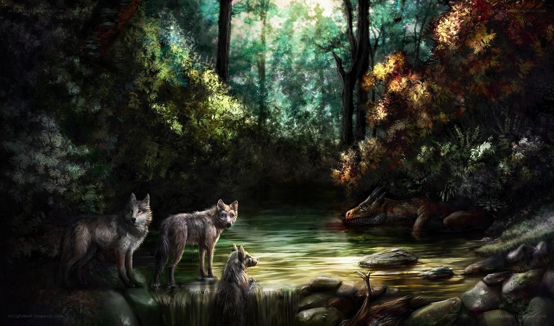 Wolves by the forest stream