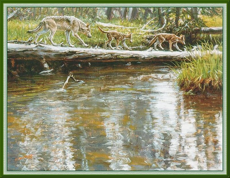 Wolves Crossing Stream
