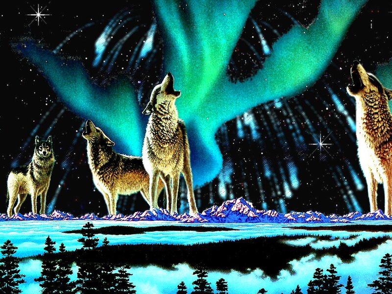 Wolves Howling at Aurora — Green