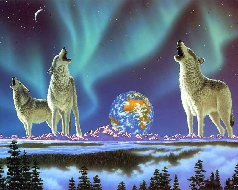 Wolves howling at aurora