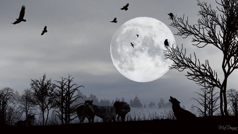 Wolves Howling at Moon — Black, Dramatic, Night, Digital Art, Crows