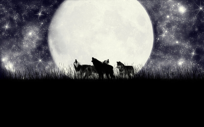 Wolves Howling at Moon — Black, Dramatic, Night, Digital Art, Stars