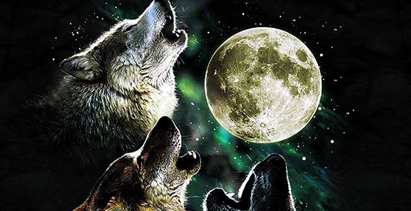 Wolves Howling at Moon — Black, Dramatic, Night, Digital Art