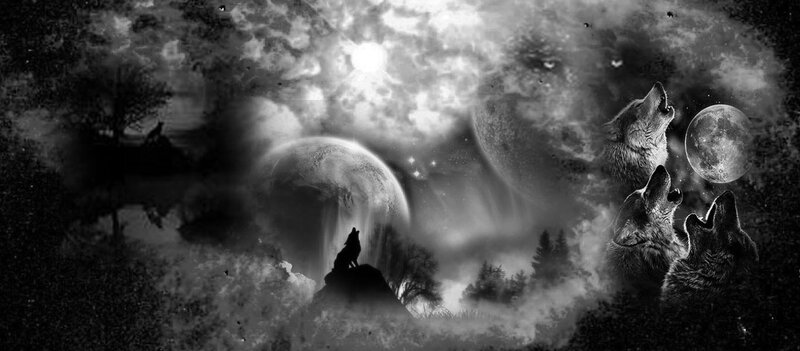 Wolves Howling at Moon — Black, Dramatic