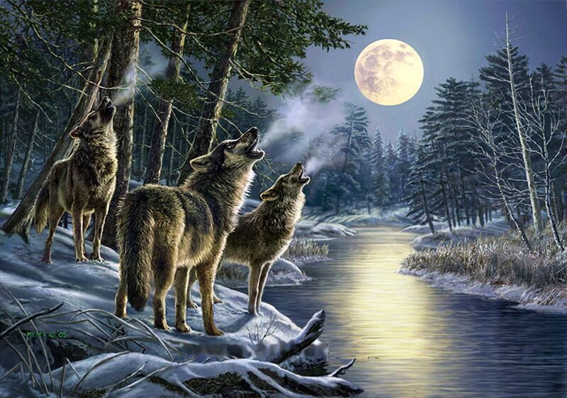 Wolves Howling at Moon — Blue, Dramatic, Night, Digital Art, River