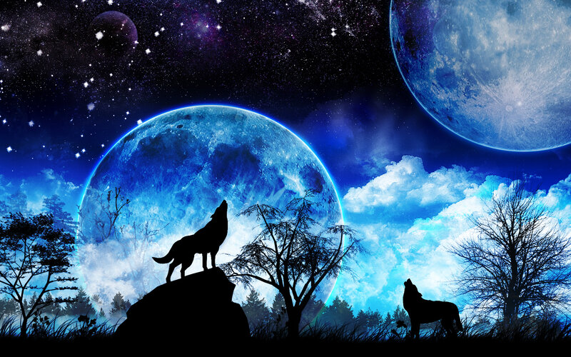 Wolves Howling at Moon — Blue, Dramatic