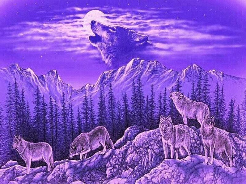 Wolves Howling at Moon — Purple, Dramatic