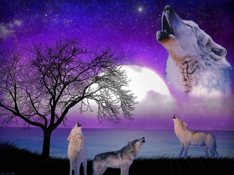 Wolves Howling at Moon — Purple