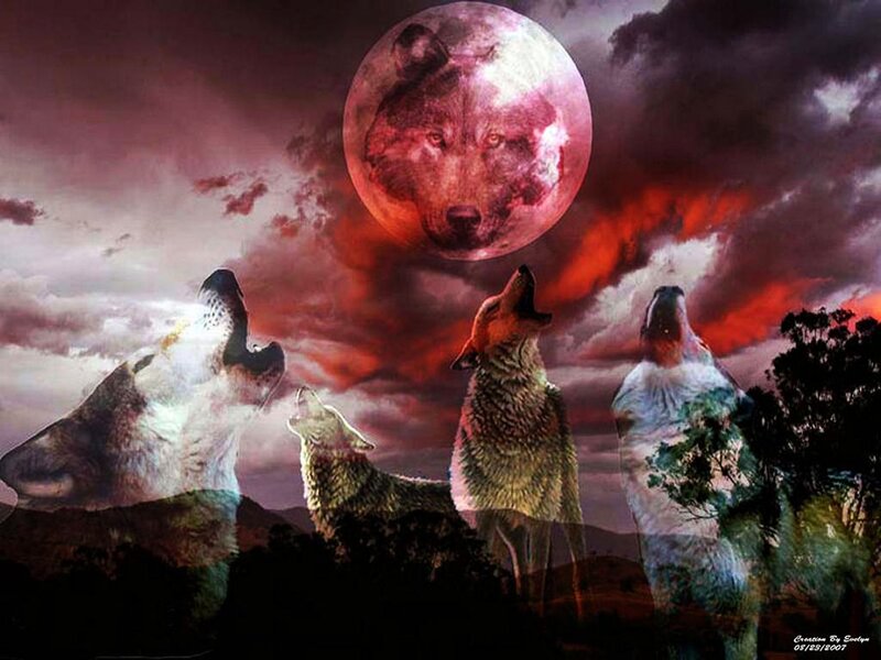 Wolves Howling at Moon — Red, Dramatic