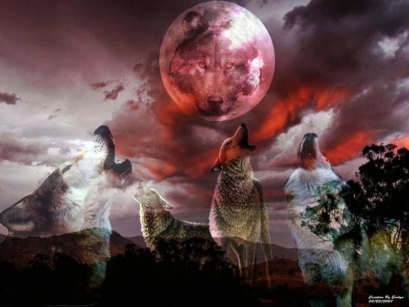 Wolves Howling at Moon — Red