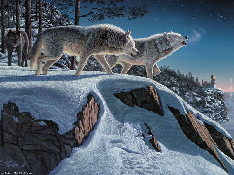 Wolves Howling at Moonlight