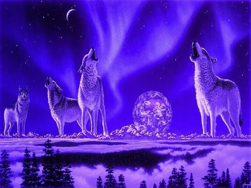 Wolves Howling at Night — Purple