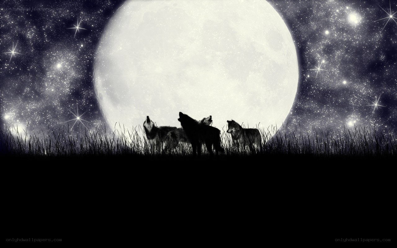 Wolves howling at the moon