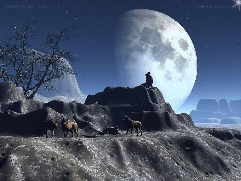 Wolves howling at the moon