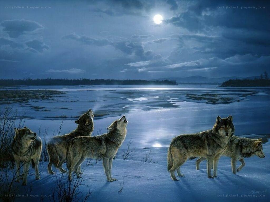 Wolves howling at the moon