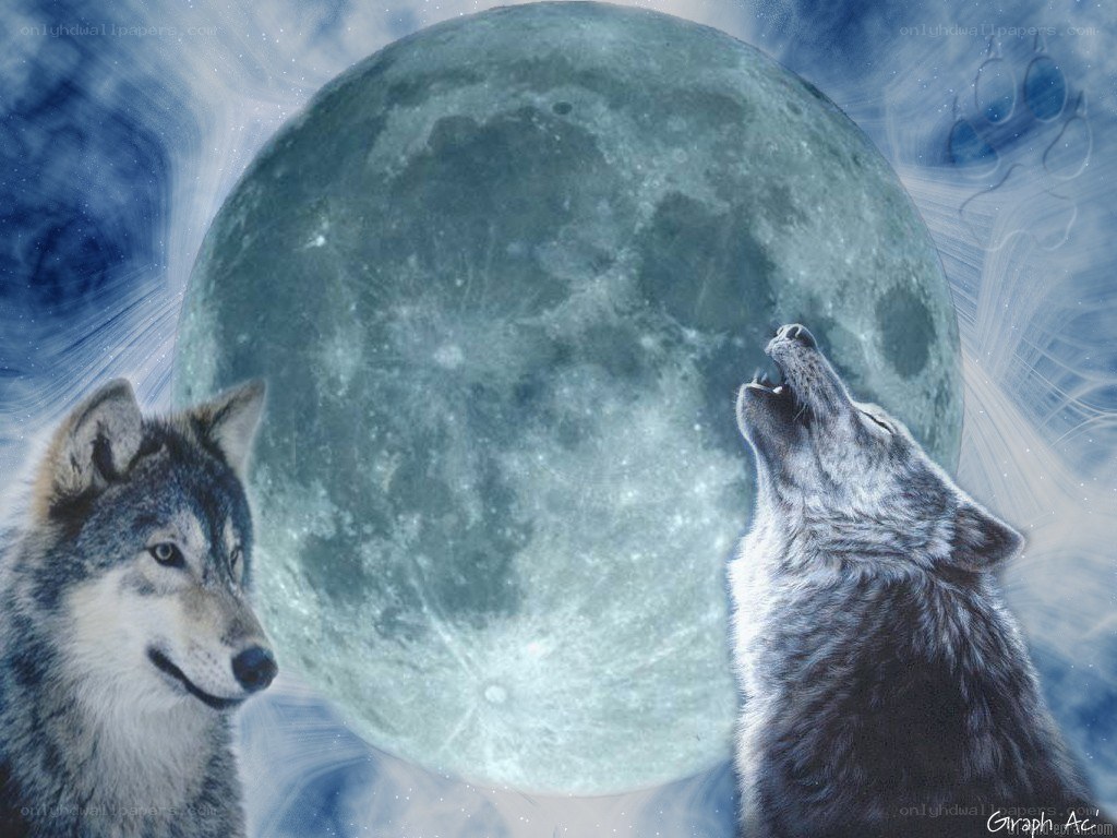 Wolves howling at the moon