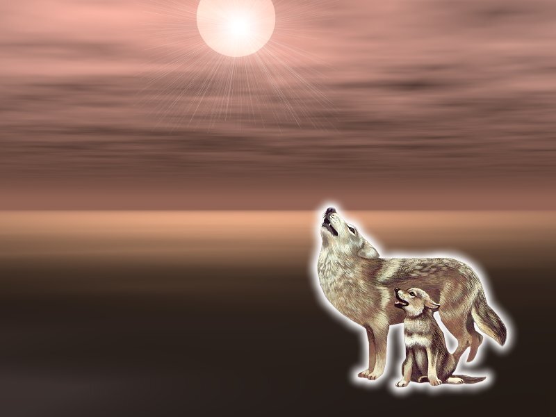 wolves howling at the sun