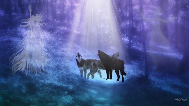 Wolves Howling in Forest — Purple