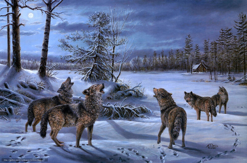 Wolves Howling in Snow — Blue, Dramatic, Night, Painting