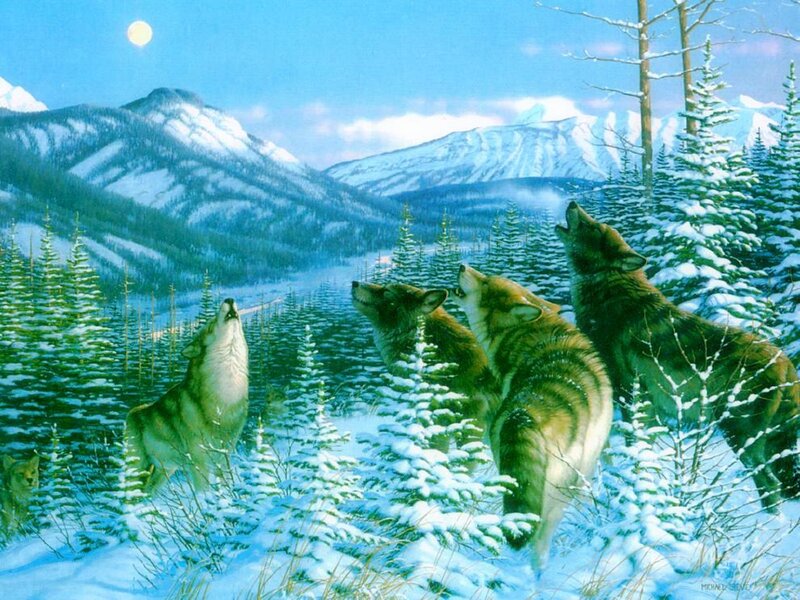 Wolves Howling in Snow — Blue, Serene, Night
