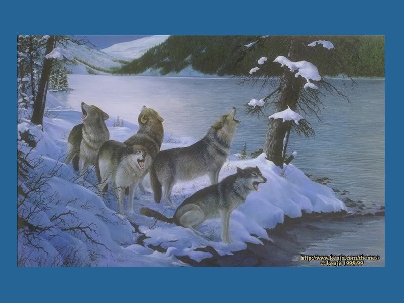 Wolves Howling in Snow — Blue, Serene, Winter