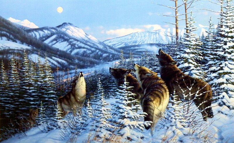 Wolves Howling in Snow — White, Serene