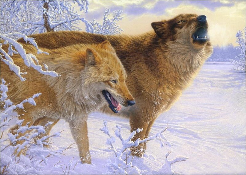 Wolves howling in winter