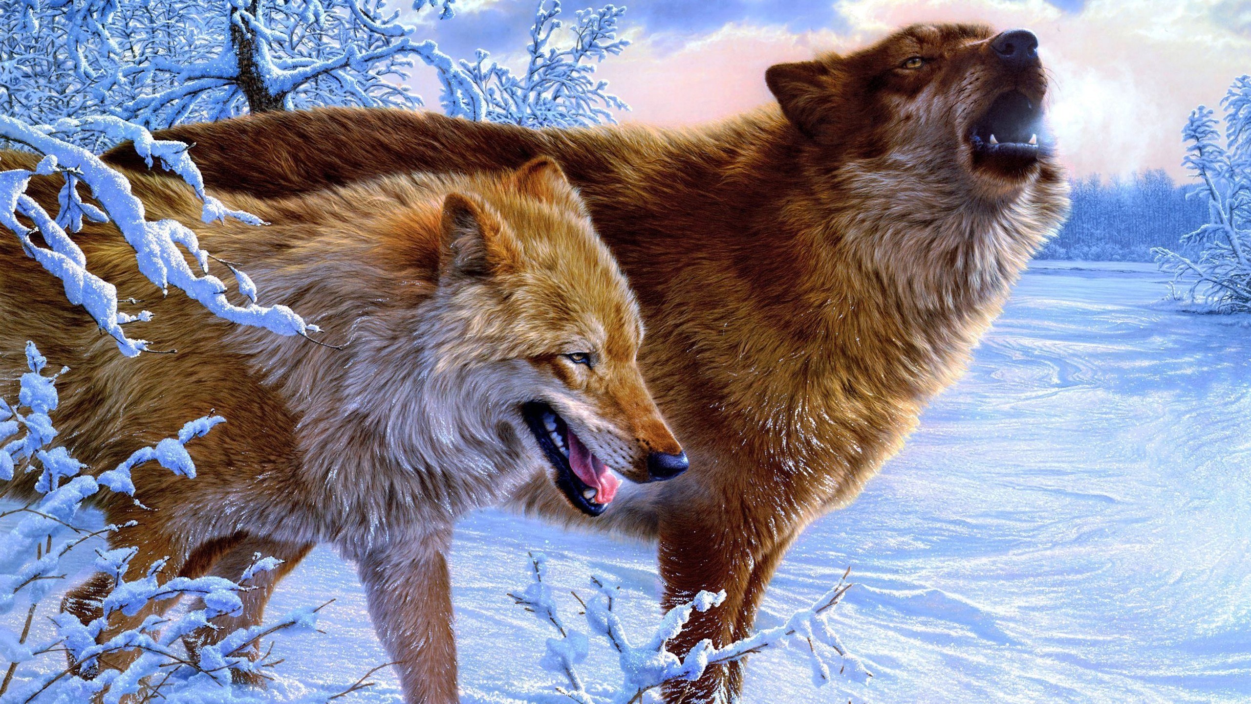 Wolves howling in winter
