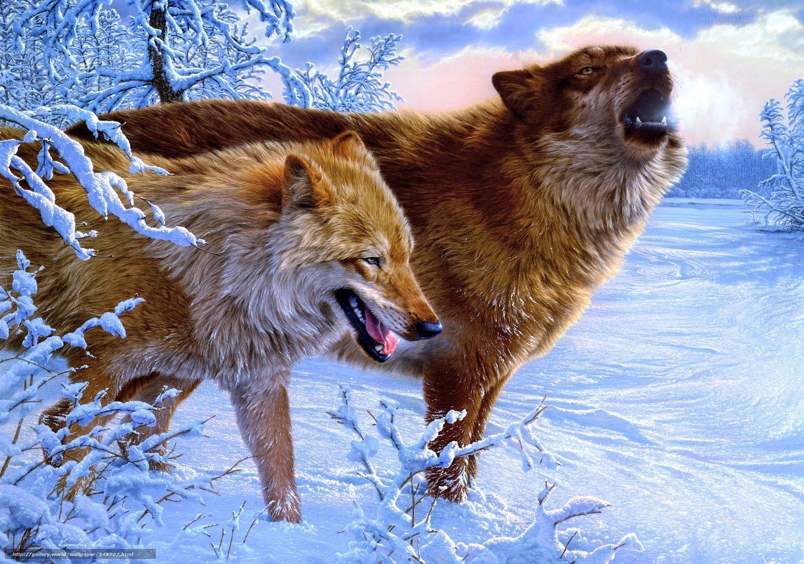 Wolves howling in winter