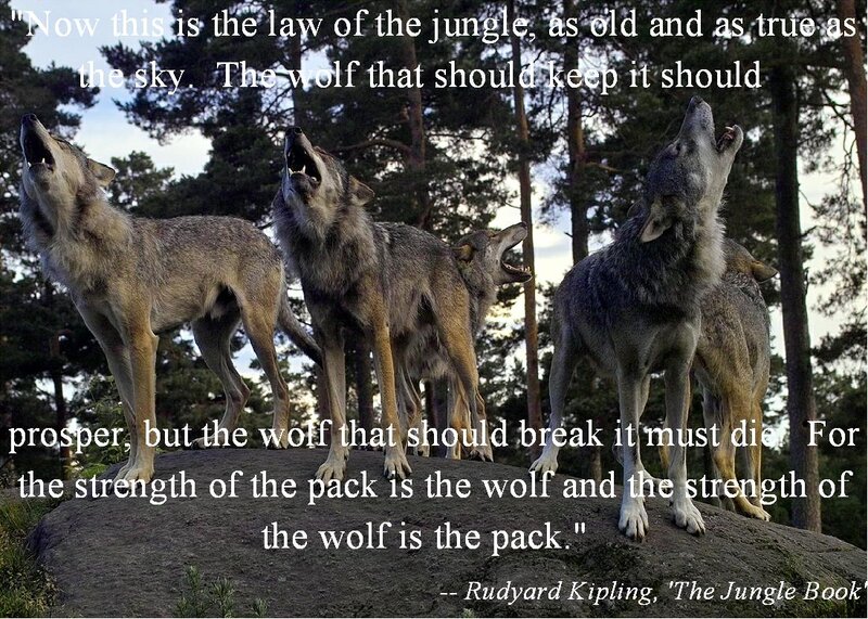 Wolves Howling on Rock