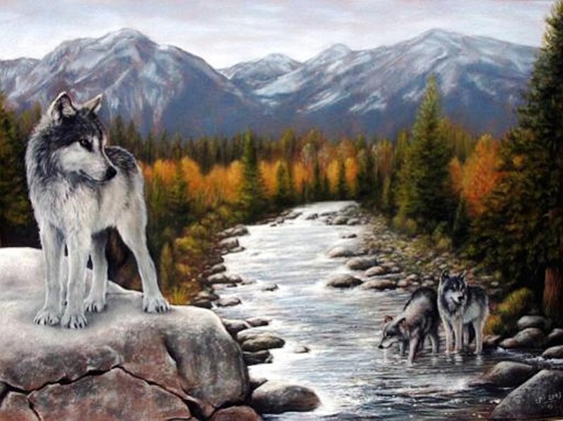 Wolves in a Forest — Gray