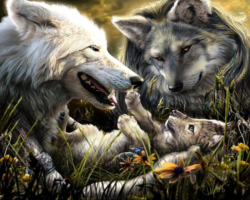 Wolves in a meadow