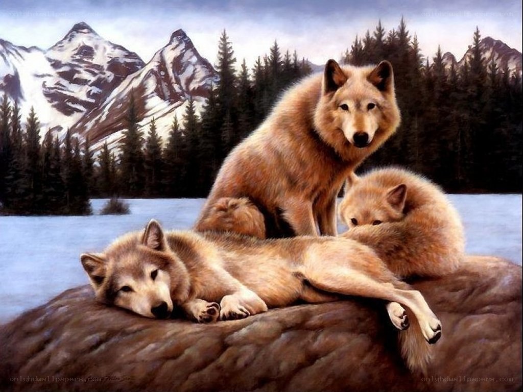 Wolves in a mountain landscape