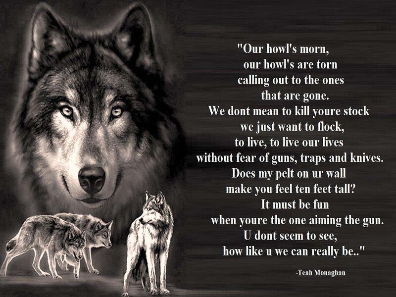Wolves in a Pack