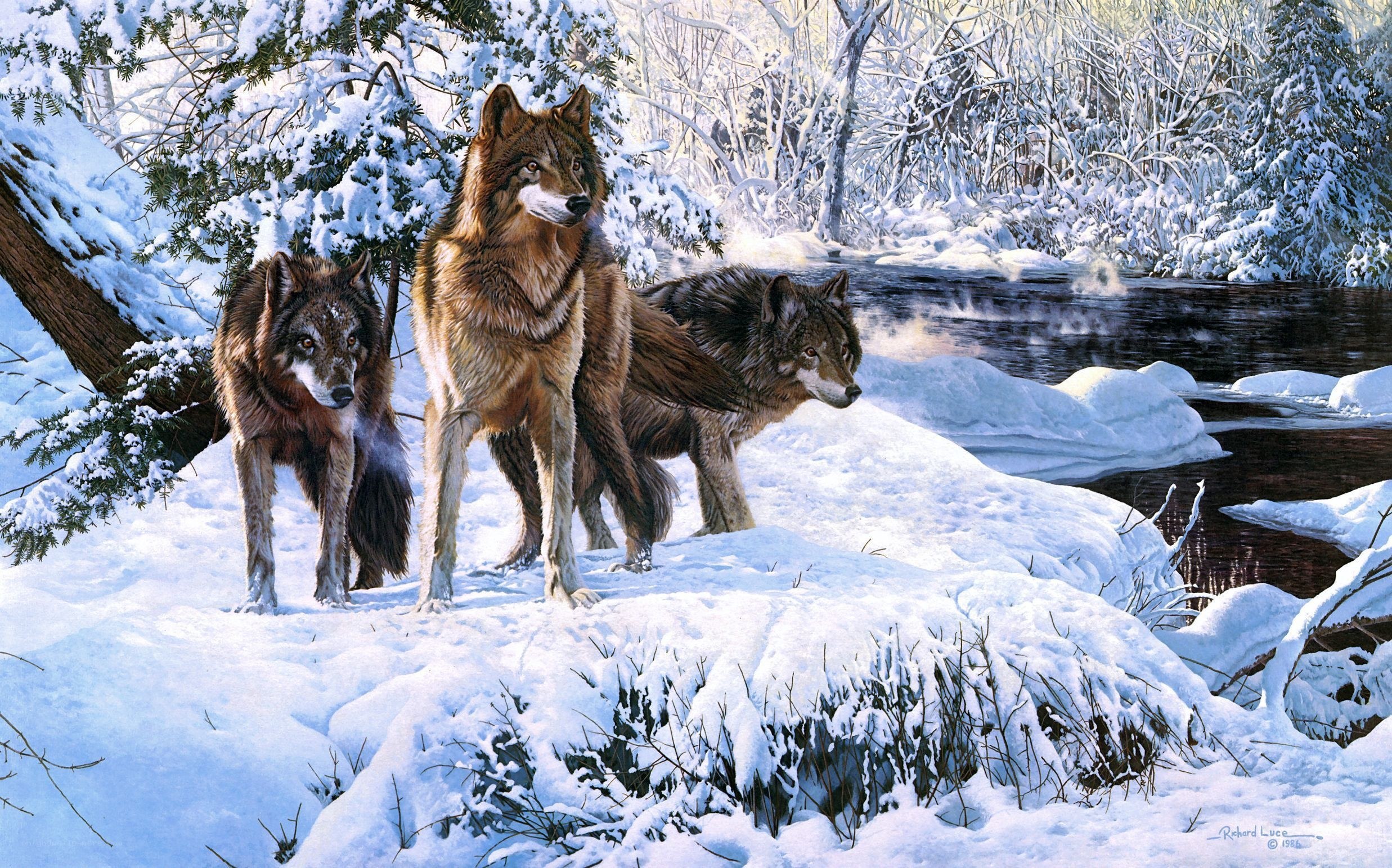 Wolves in a snowy forest