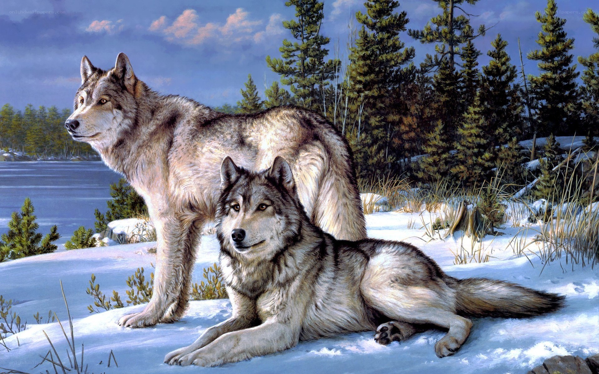 Wolves in a snowy forest