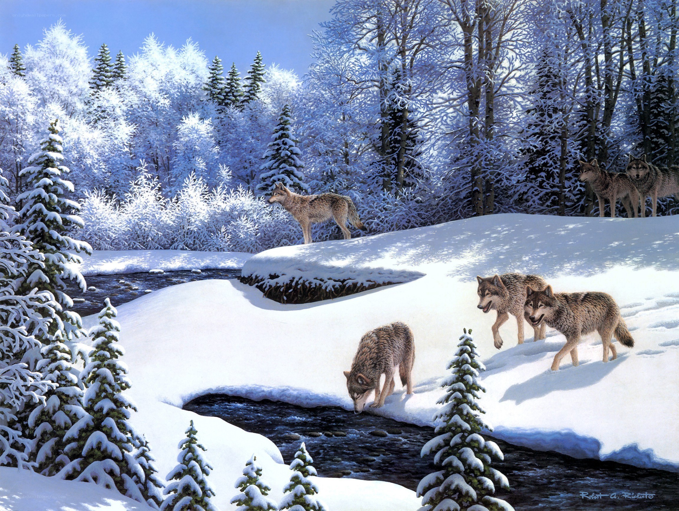 Wolves in a snowy forest