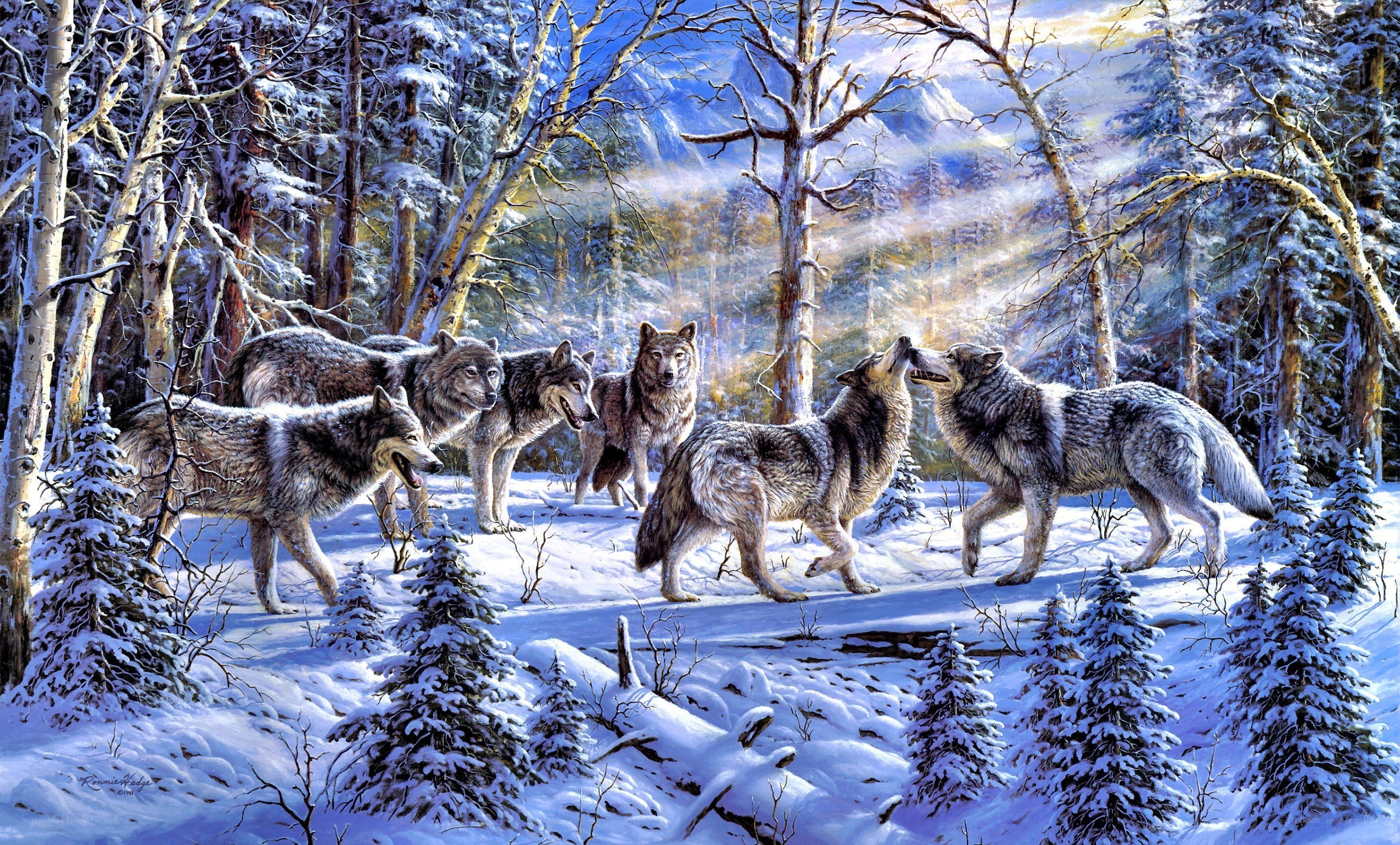 Wolves in a snowy forest