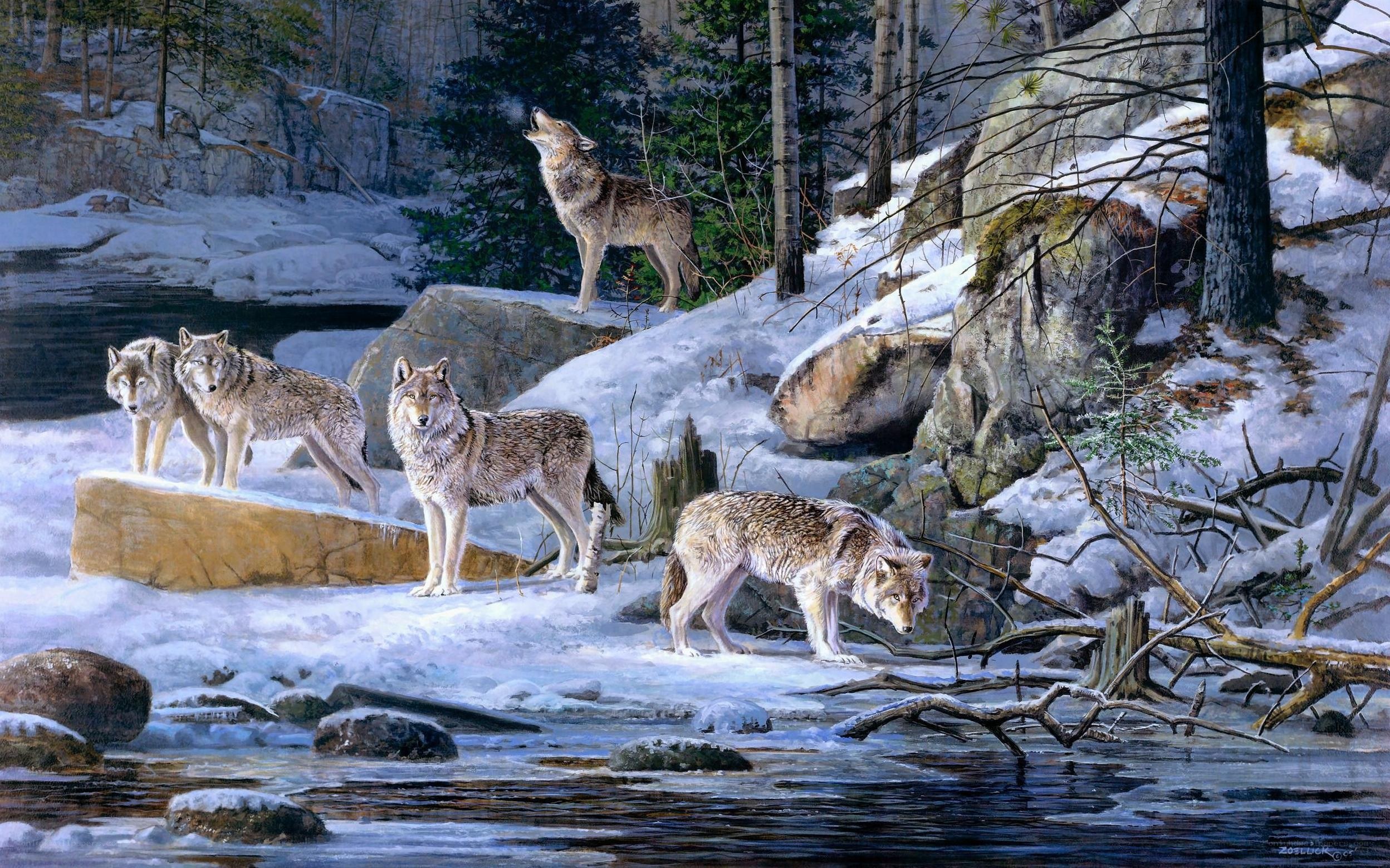 Wolves in a snowy forest