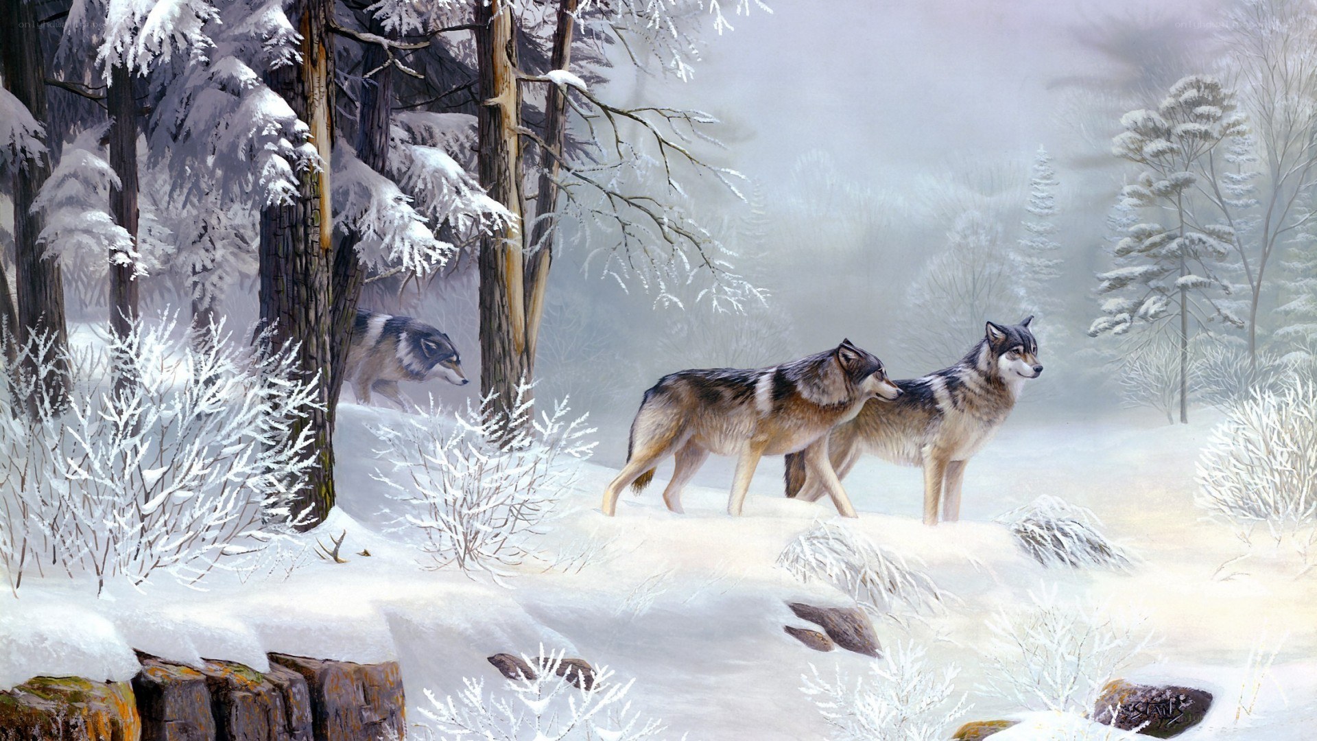 Wolves in a snowy forest