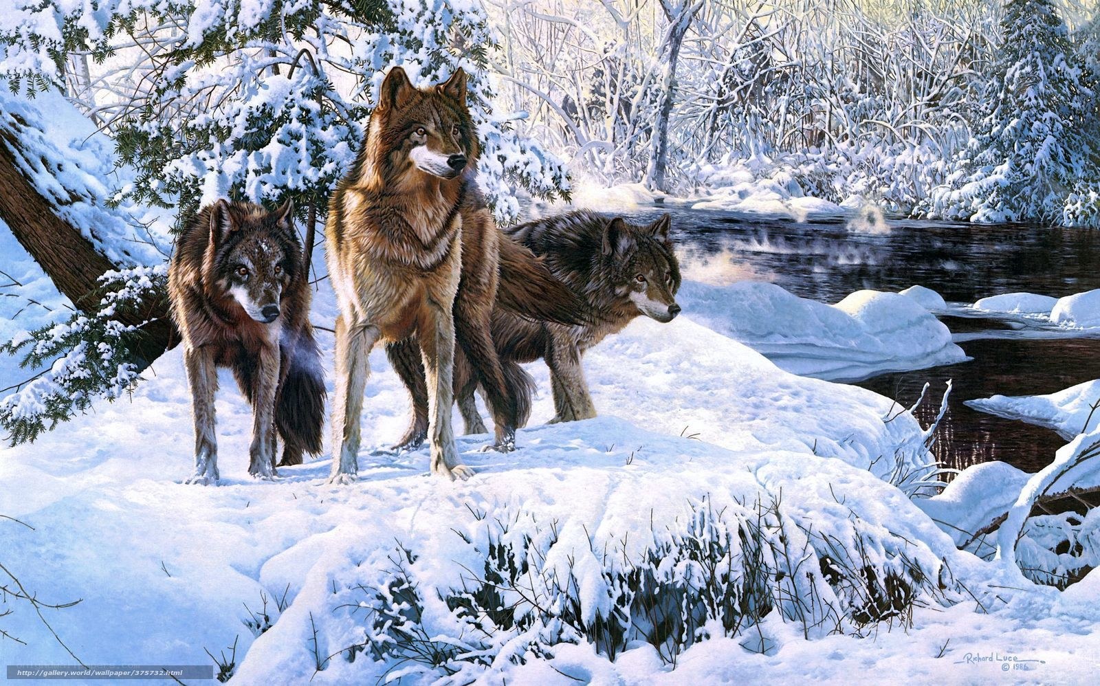 Wolves in a snowy forest