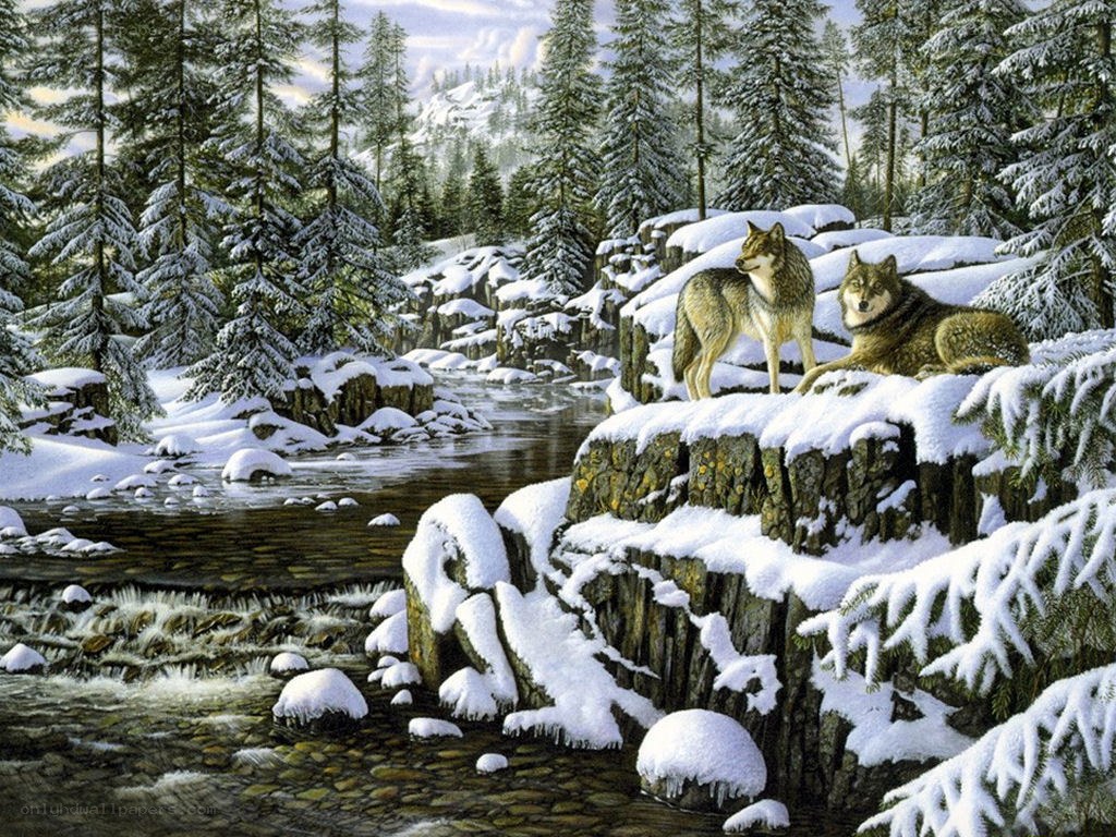 Wolves in a snowy forest