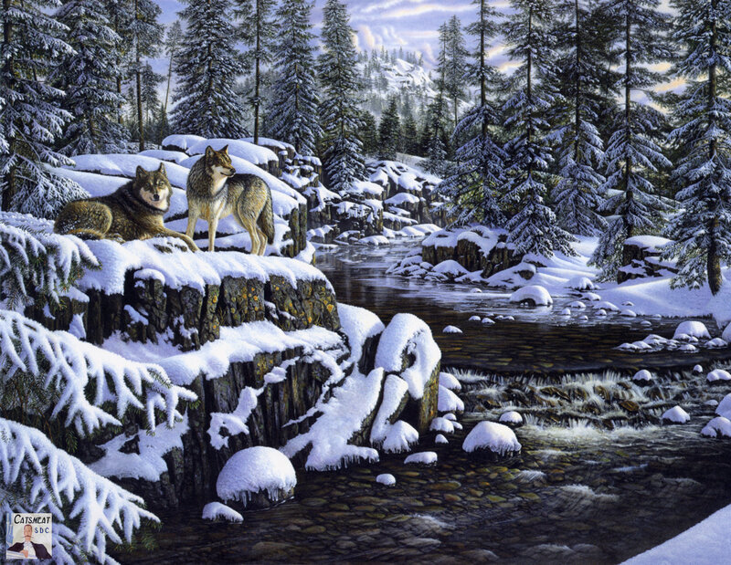 Wolves in a snowy forest