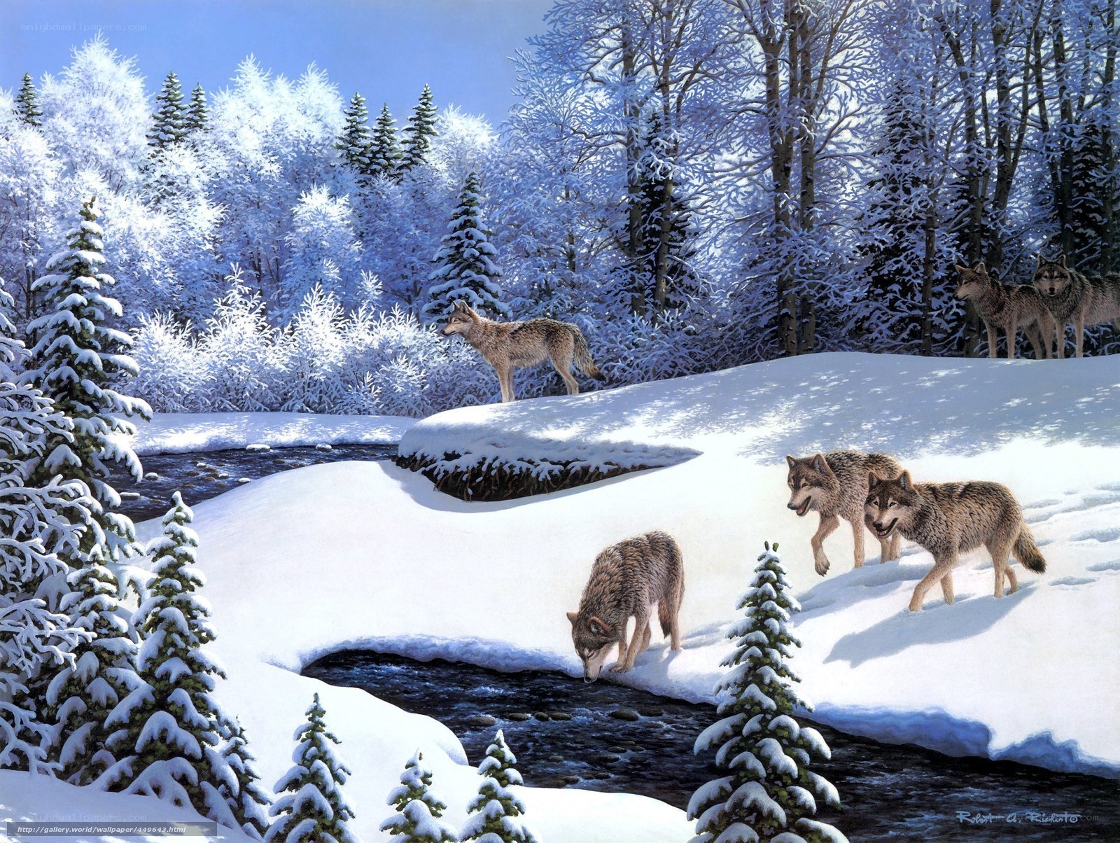 Wolves in a snowy forest